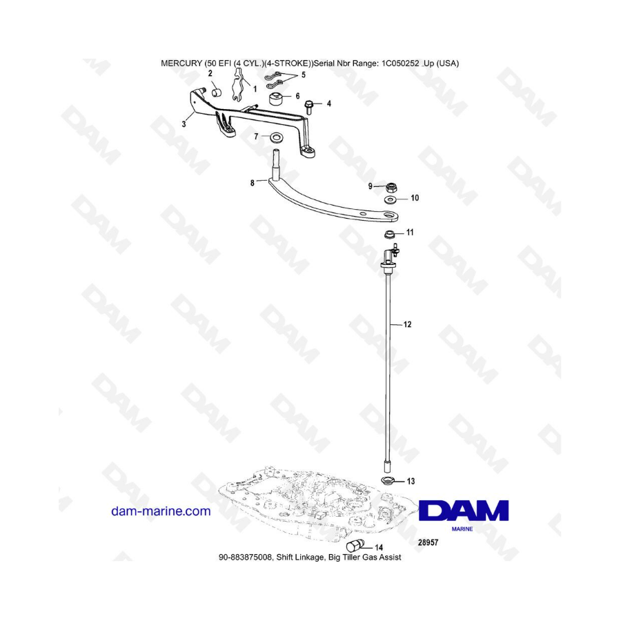 Mercury 50 EFI Shift Linkage Big Tiller Gas Assist DAM Marine