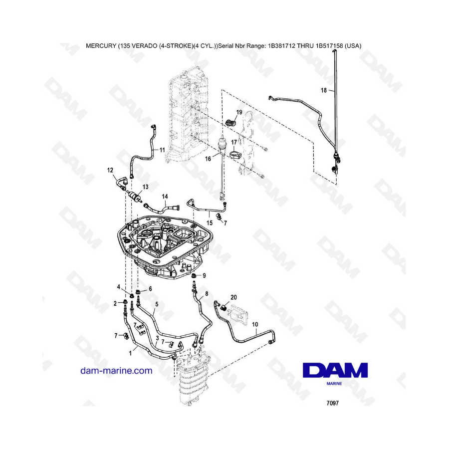 Mercury Verado 135 (SN 1B381712 à 1B517158) - Adaptor plate hose routings