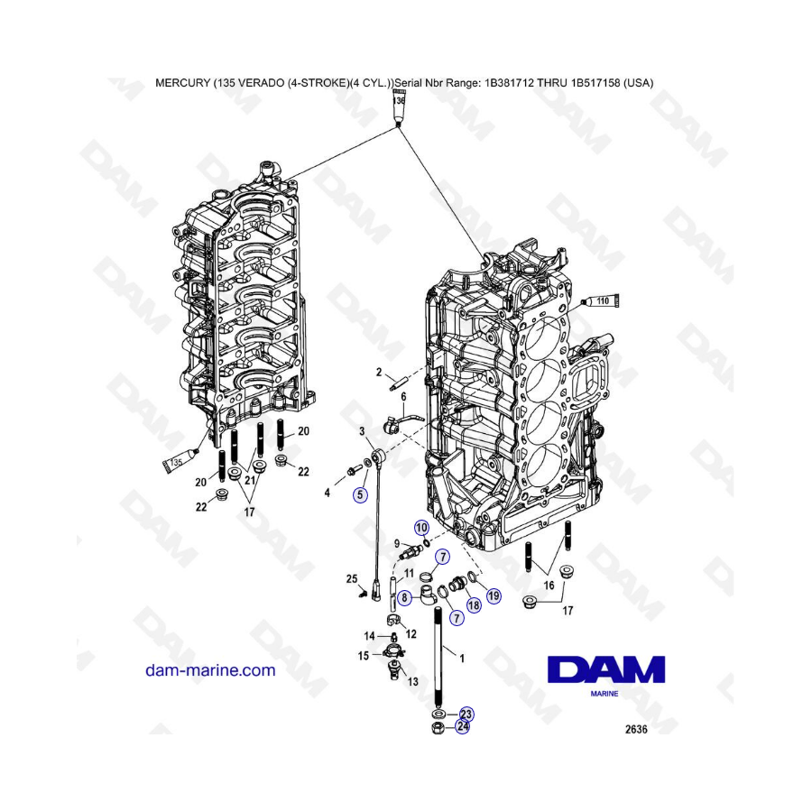 Mercury Verado 135 (SN 1B381712 à 1B517158) - Port cylinder block components