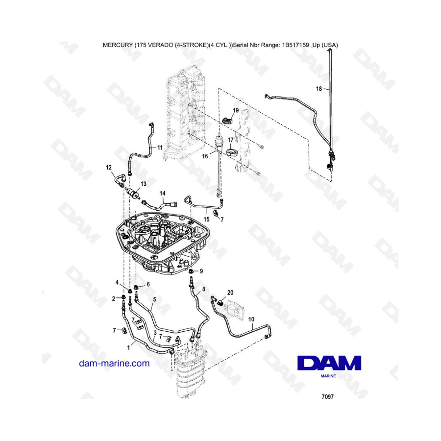 Mercury Verado 175 (1B517159 & +) - Adaptor plate hose routings