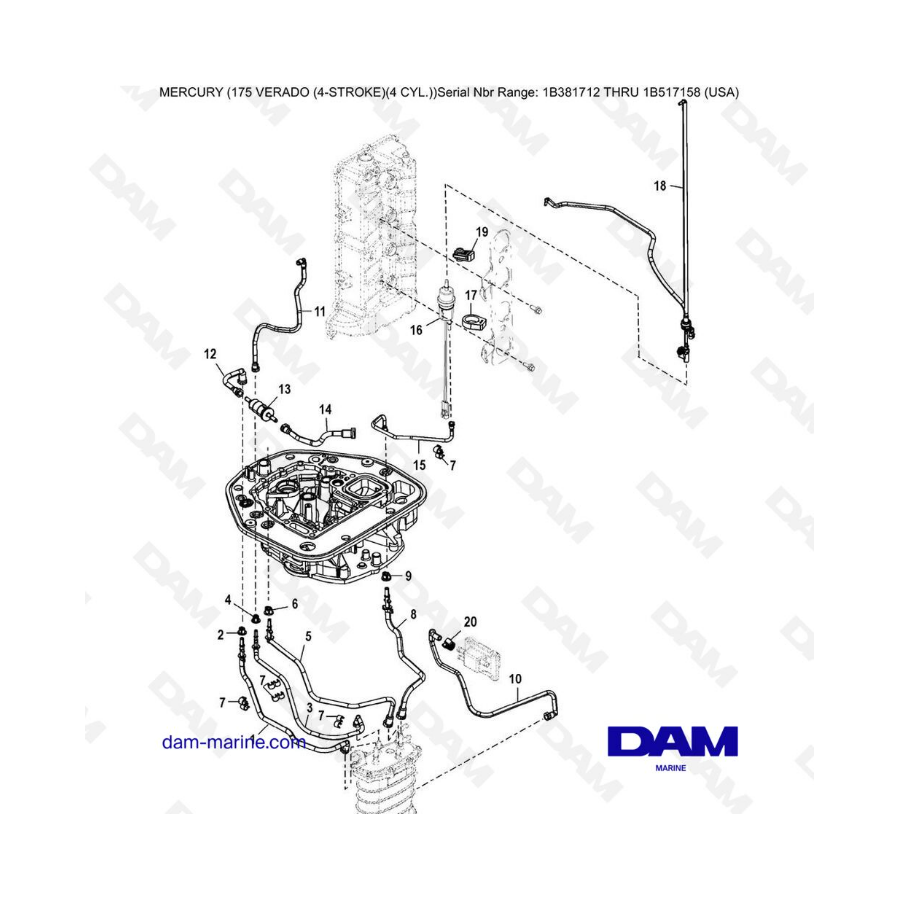 Mercury Verado 175 NS 1B381712 à 1B517158 - Adaptor plate hose routings