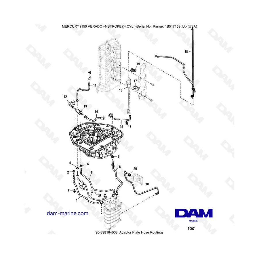 Mercury Verado 150 (SN 1B381712 à 1B517158) - Adaptor plate hose routings