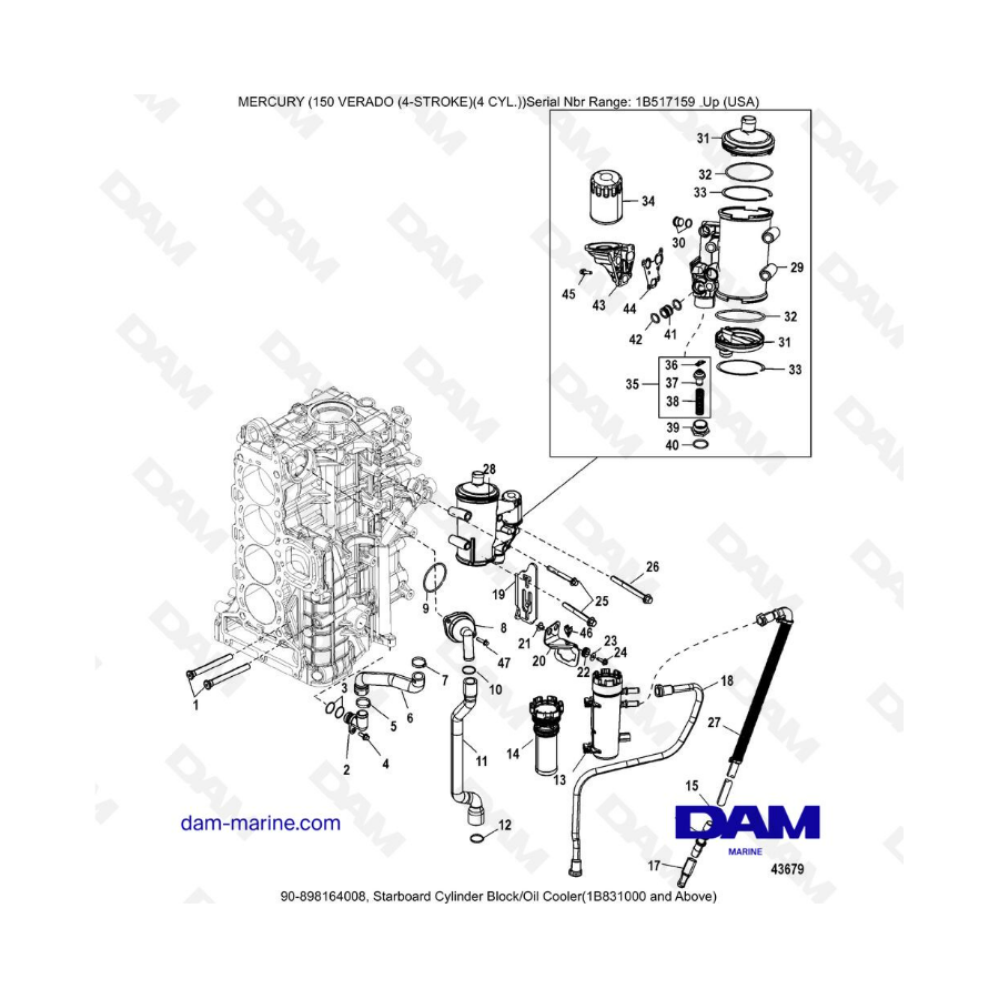 Mercury Verado 150 (SN 1B517159 & +) - Starboard cylinder block.oil cooler (1B831000 & above)