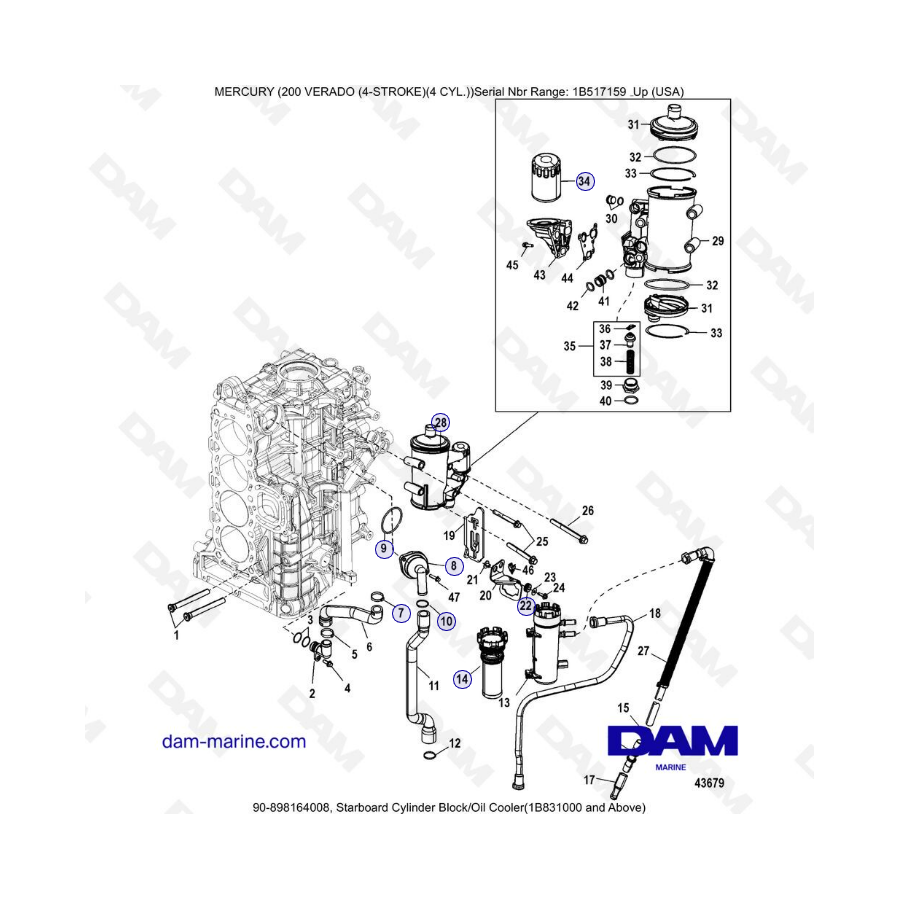 Mercury Verado 200 (4 Cylindres) - Starboard cylinder block/Oil cooler (1B831000 & +)