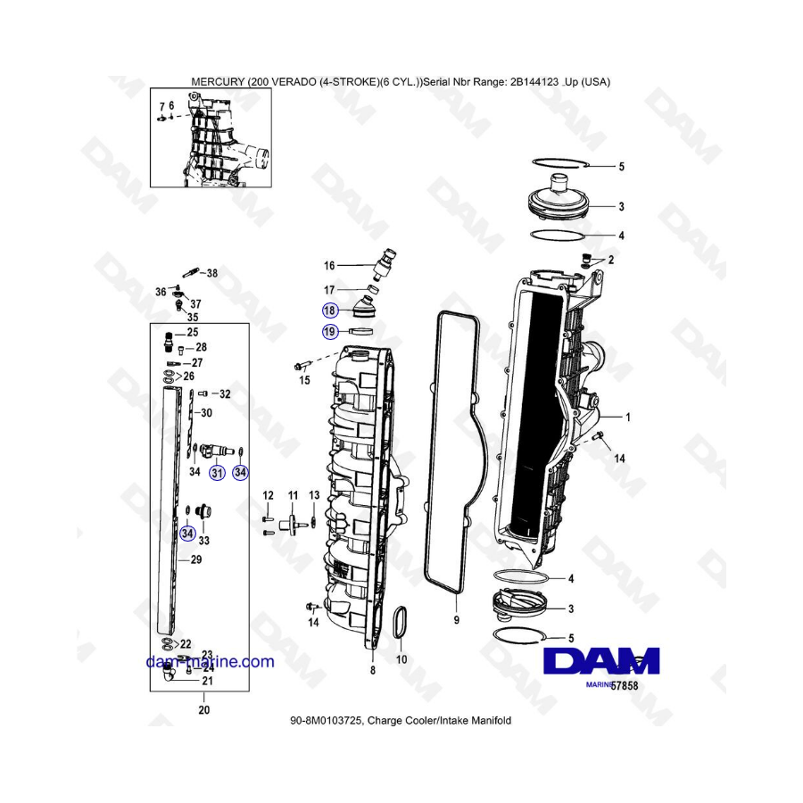 Mercury Verado 200 (6 cylinders) - Charge cooler/Intake manifold 