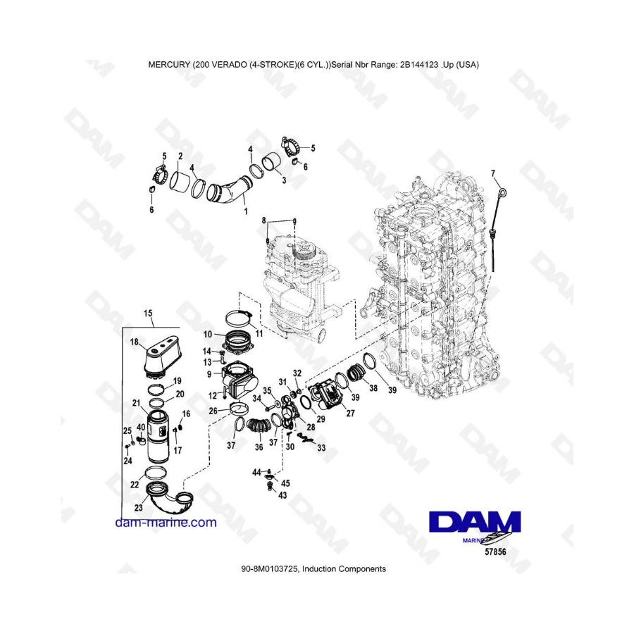 Mercury Verado 200 (6 cylinders) - Induction components