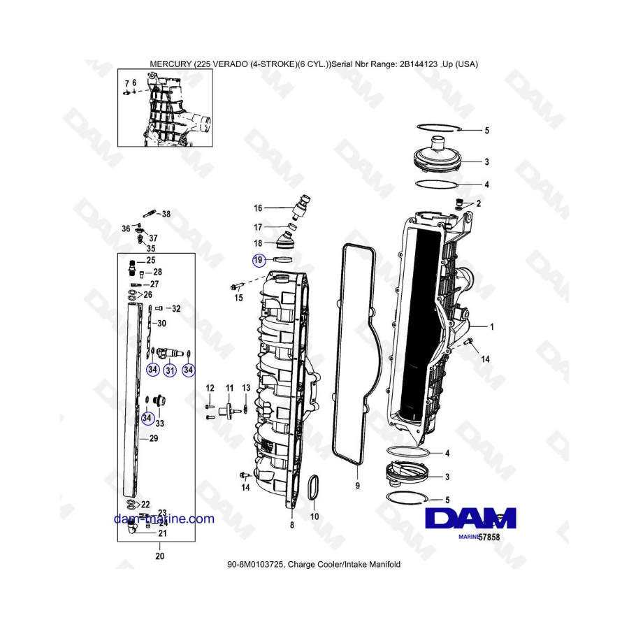 Mercury 225 Verado (2B144123 & +) - Charge cooler/Intake manifold