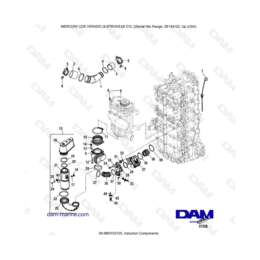 Mercury 225 Verado (2B144123 & +) - Induction components