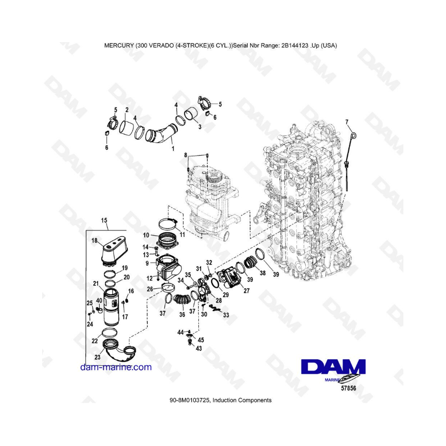 Mercury Verado 300 (SN2B144123 & +) - Induction components