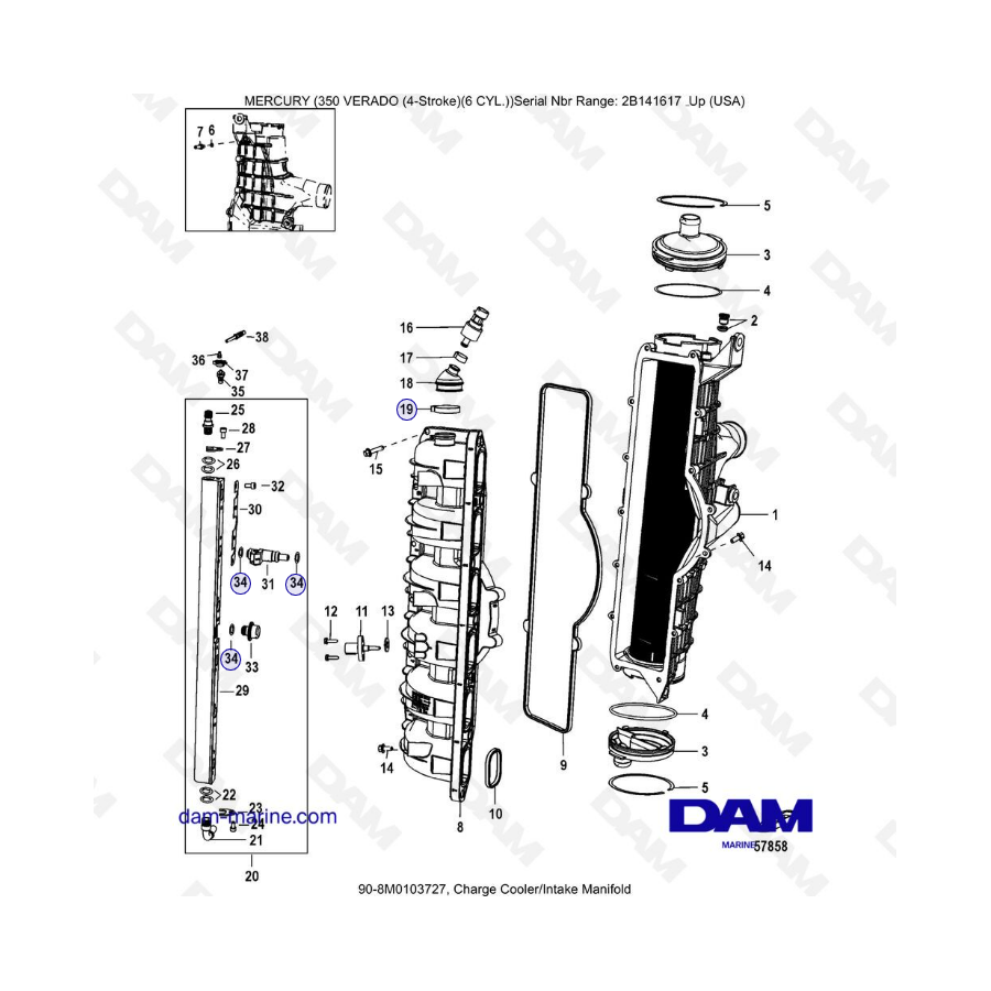 Mercury Verado 350 (SN2B144123 & +) - Charge cooler/Intake manifold