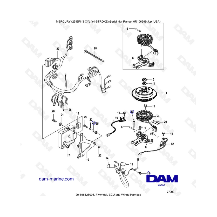 Mercury EFI 25 hp - Flywheel, ECU and Wiring harness