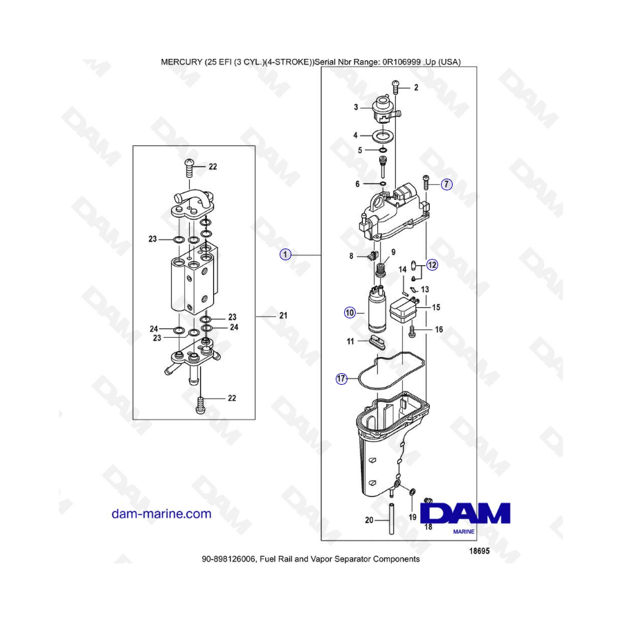 Mercury 25 EFI: componentes del separador de vapor y riel de combustible