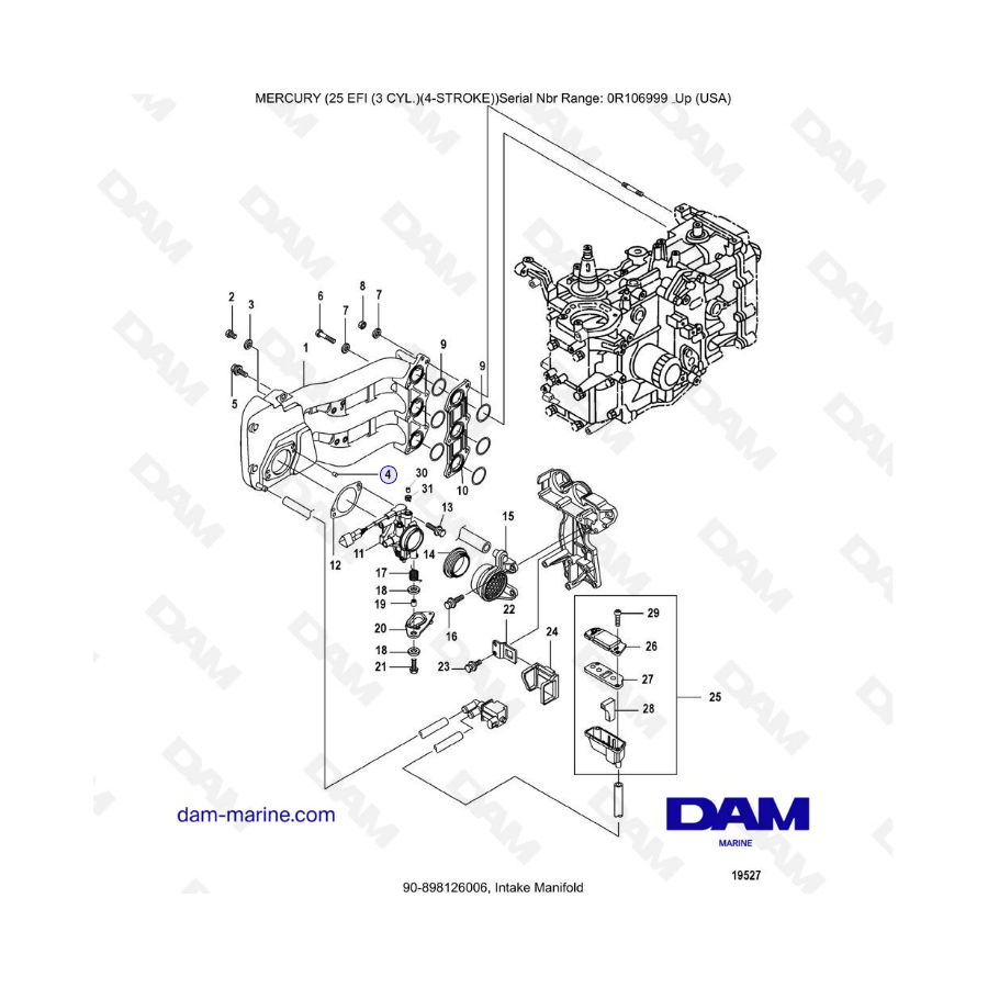 Mercury 25 EFI - Intake manifold