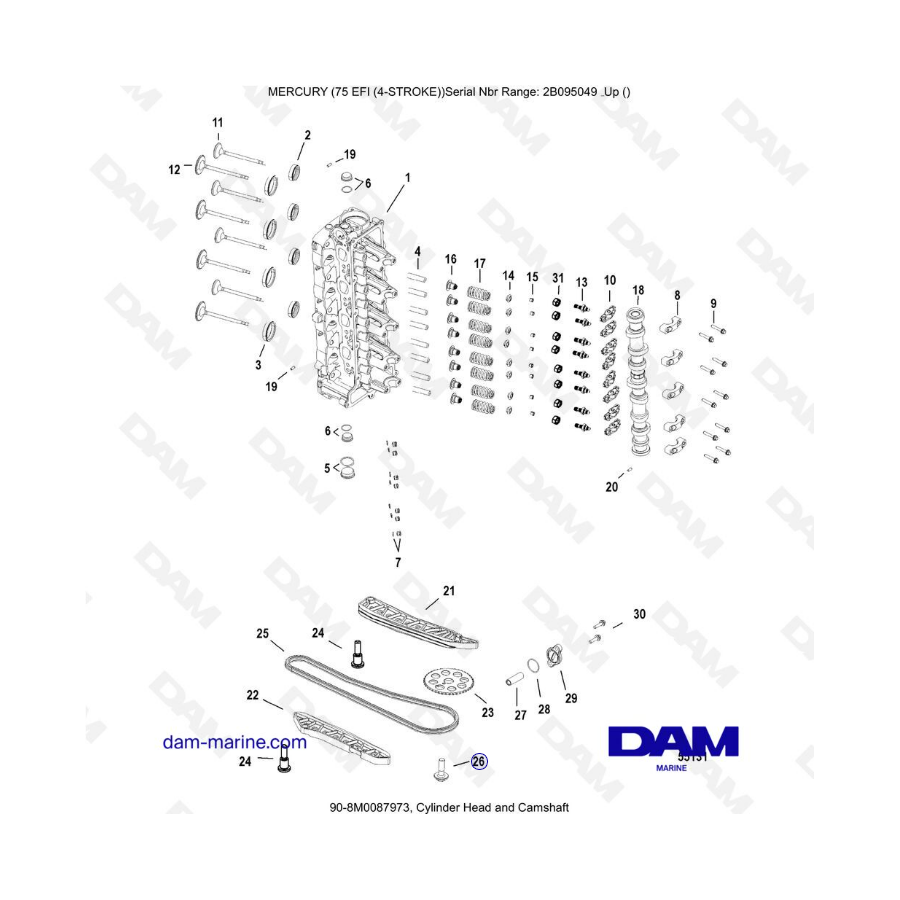 Mercury 75 EFI - Cylinder head & camshaft