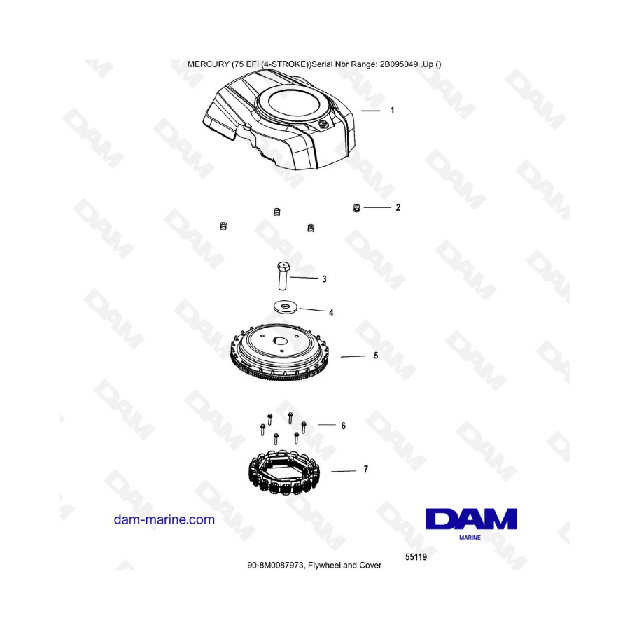 Mercury 75 EFI - Flywheel & cover