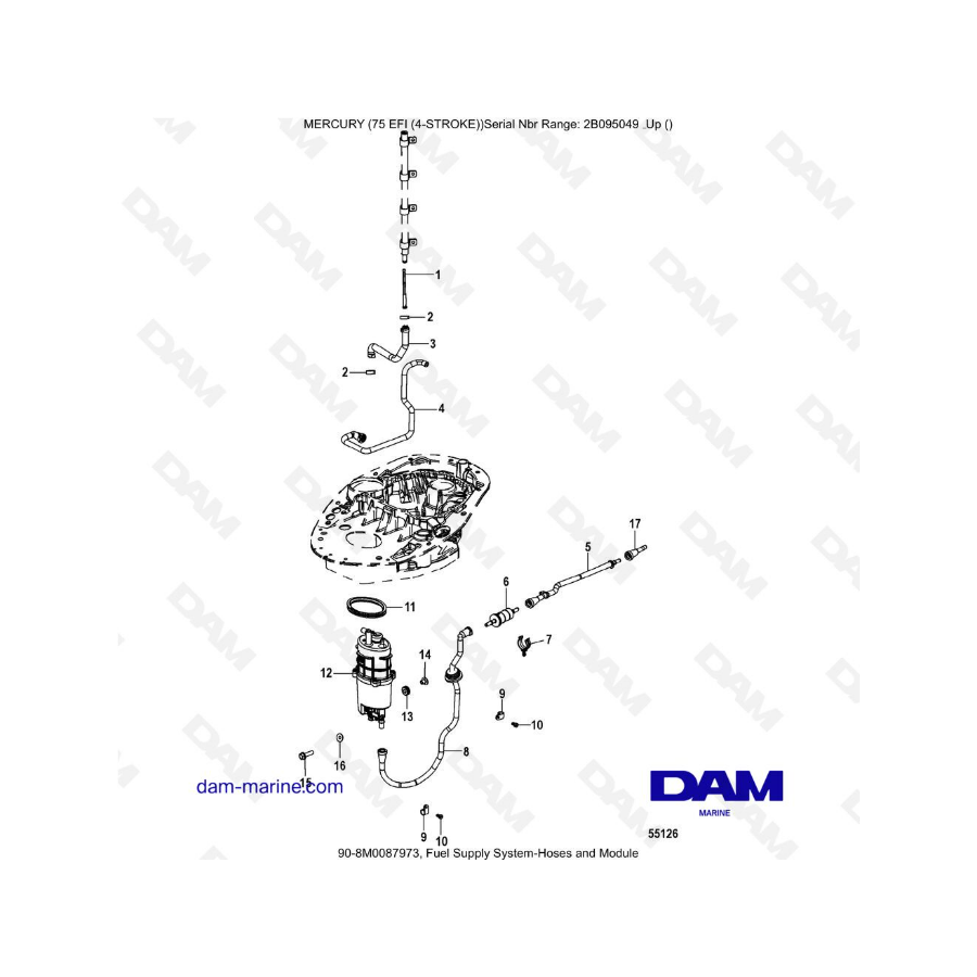 Mercury 75 EFI - Fuel supply system-hoses & module