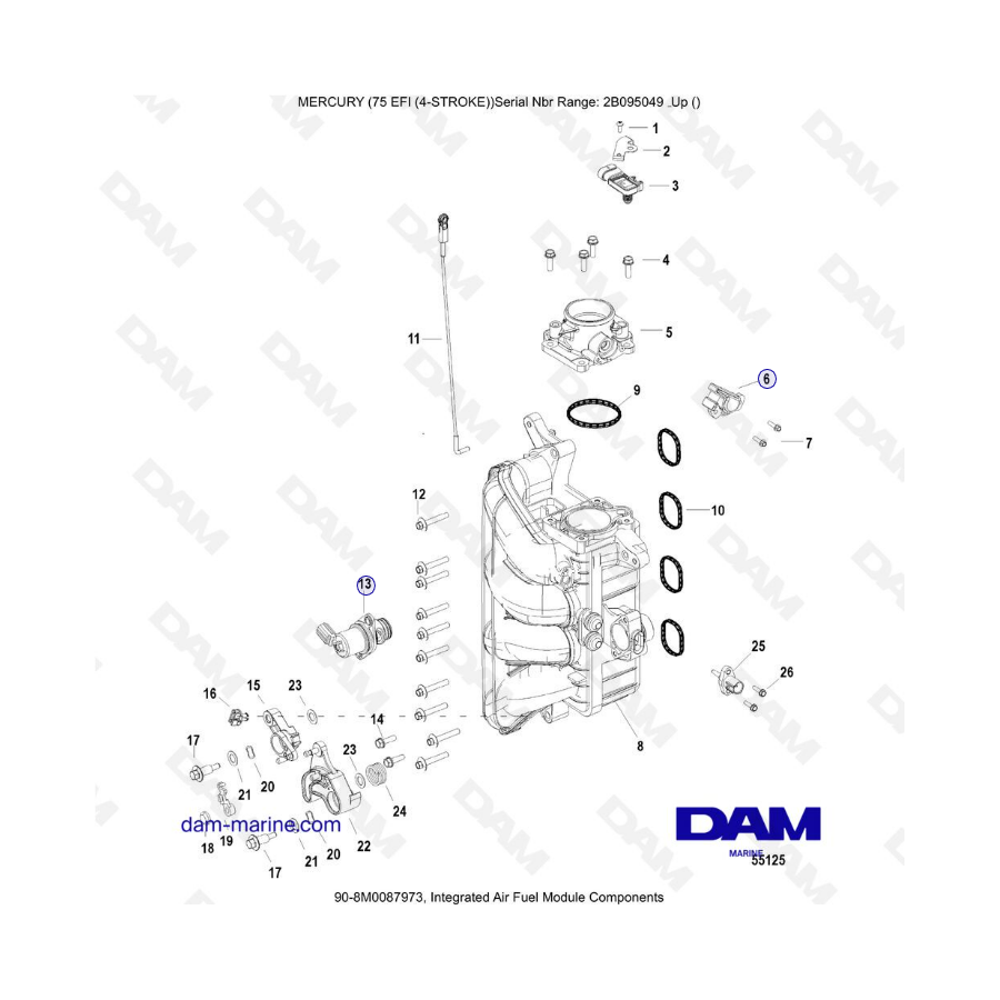 Mercury 75 EFI - Integrated air fuel module