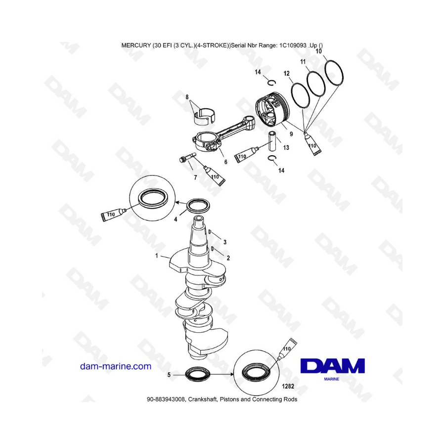 Mercury 30 EFI - Crankshaft, Pistons and Connecting Rods