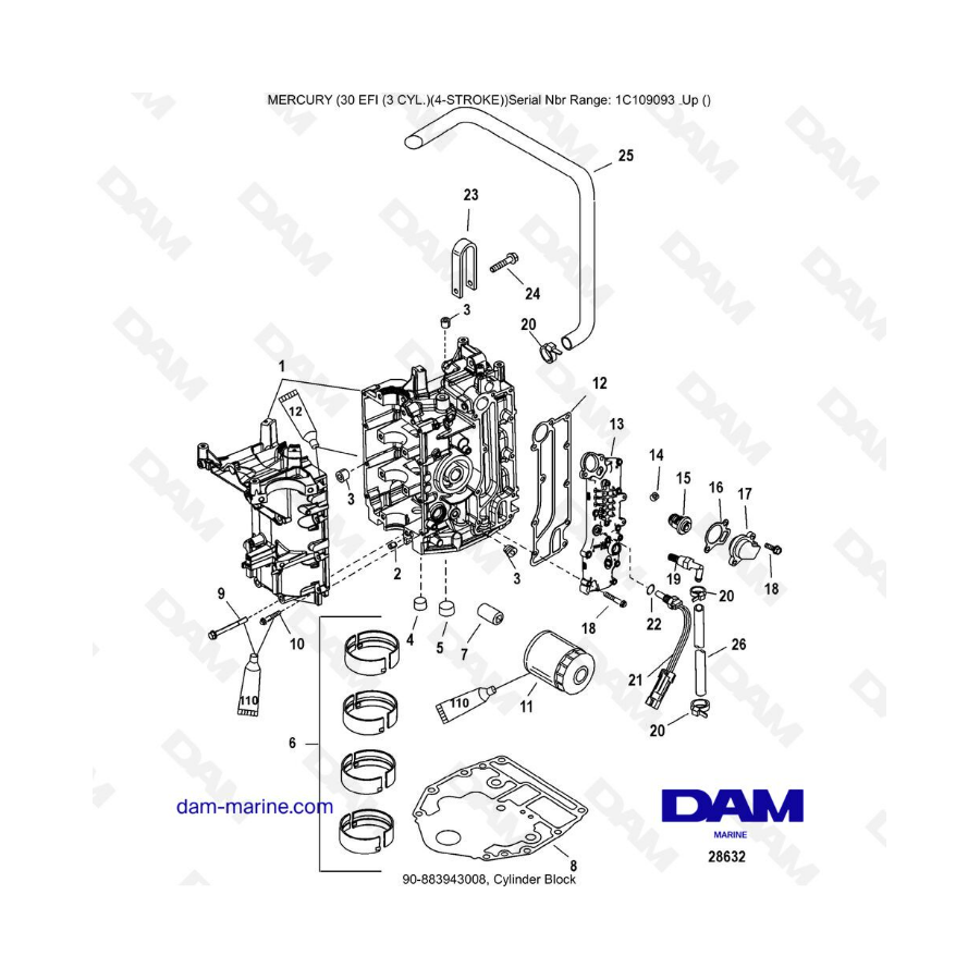 Mercury 30 EFI - Bloque de cilindros