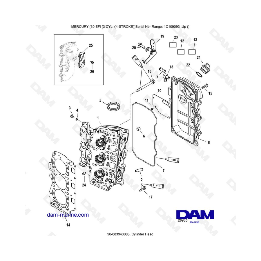 Mercury 30 EFI - Cylinder head