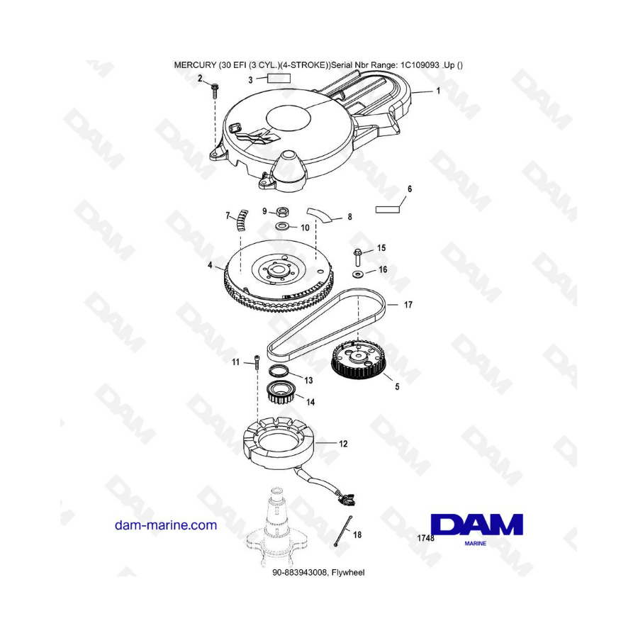 Mercury 30 EFI - Flywheel