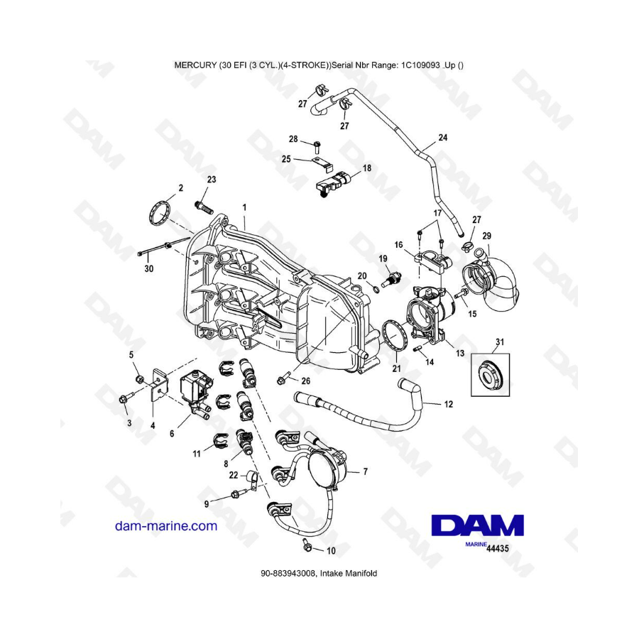 Mercury 30 EFI - Intake manifold 