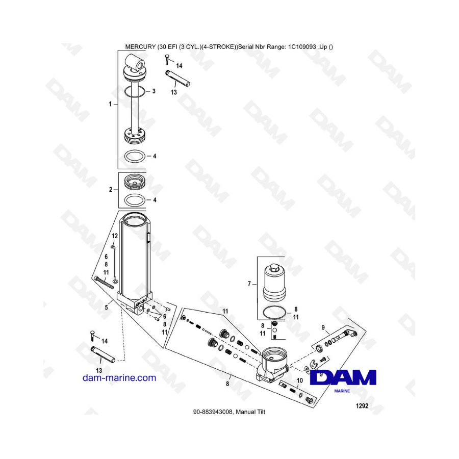 Mercury 30 EFI - Manual tilt