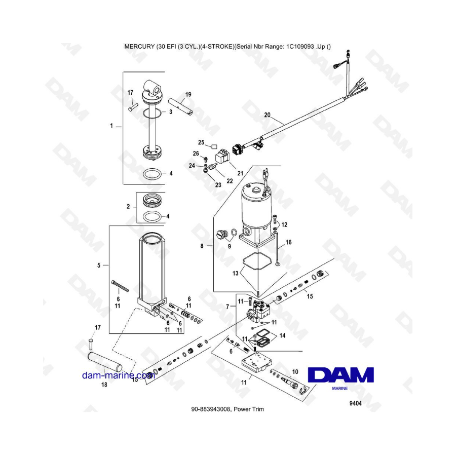 Mercury 30 EFI - Ajuste eléctrico