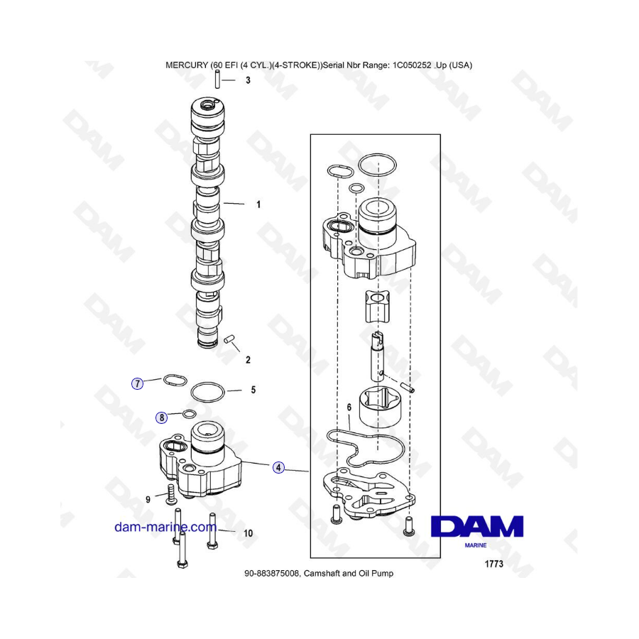 Mercury 60 EFI - Camshaft & oil pump