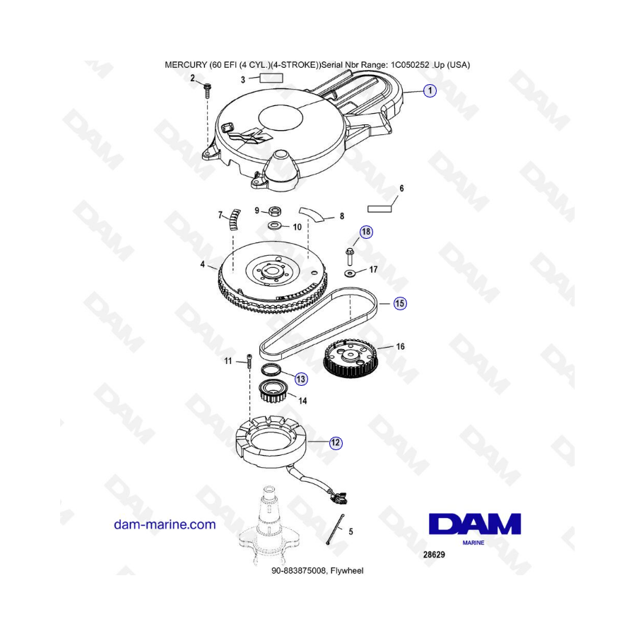 Mercury 60 EFI - Flywheel