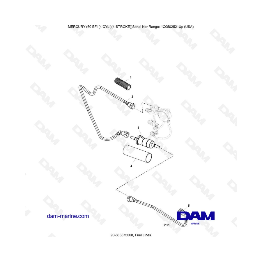 Mercury 60 EFI - Fuel lines