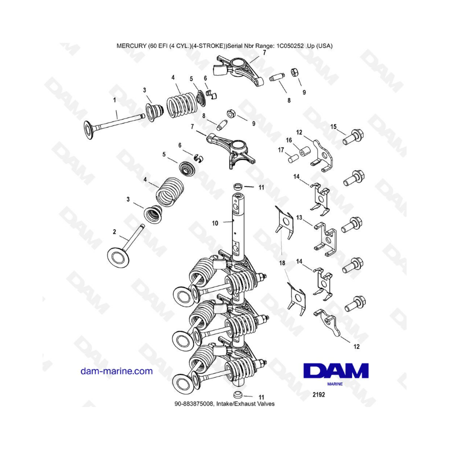 Mercury 60 EFI - Intake/Exhaust Valves