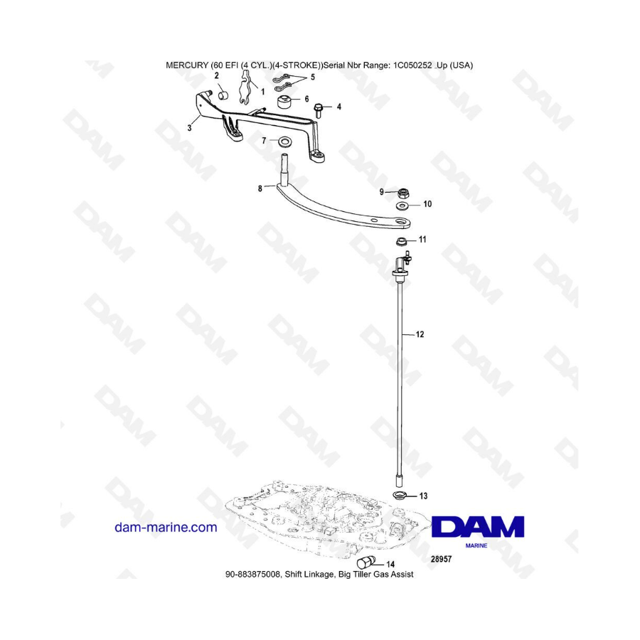 Mercury 60 EFI - Shift linkage, big tiller gas assist