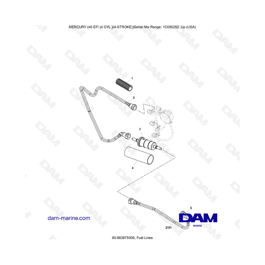 Mercury 40 EFI - Fuel lines