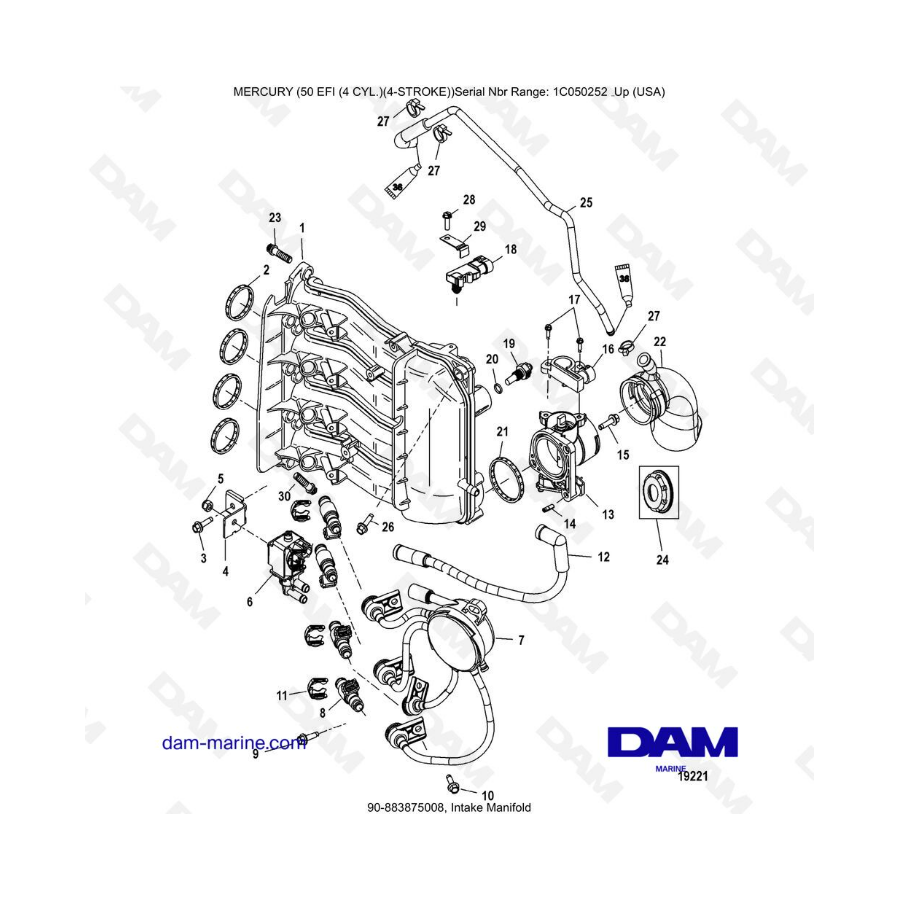 Mercury 50 EFI - Intake manifold