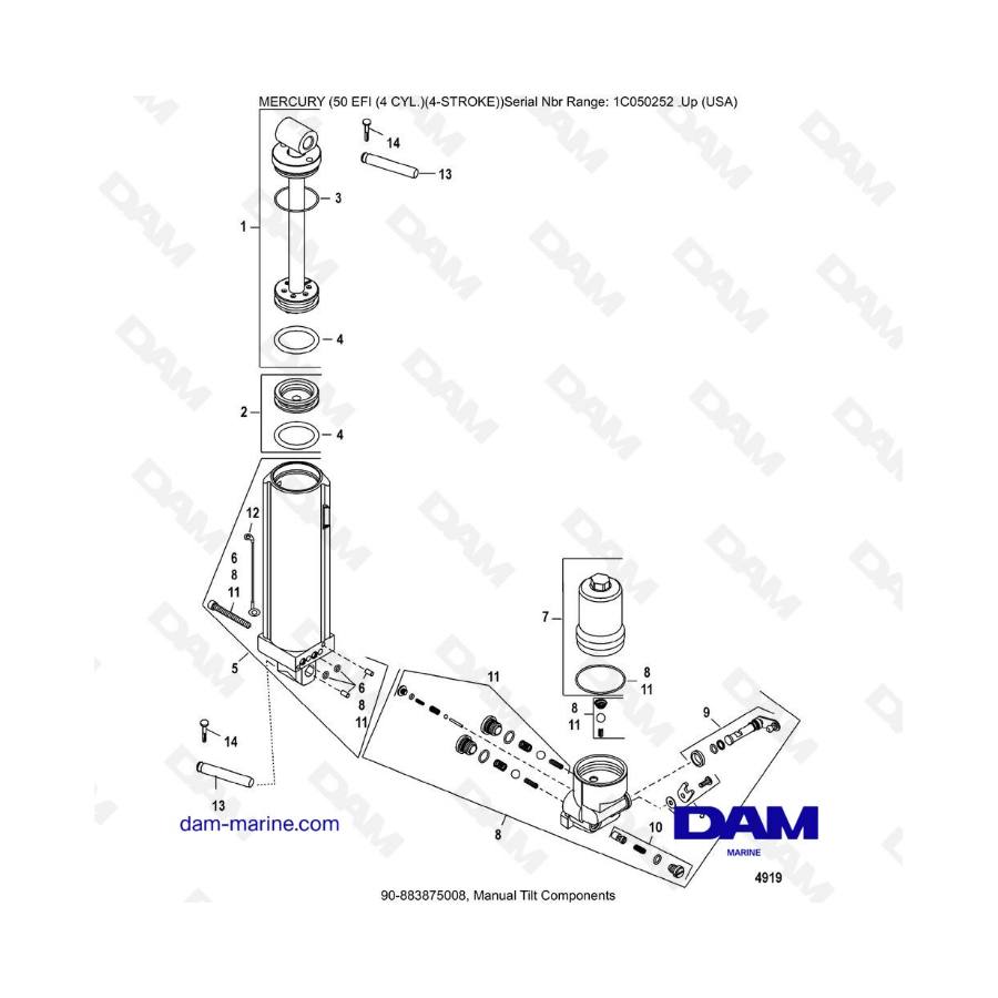 Mercury 50 EFI - Componentes de inclinación manual