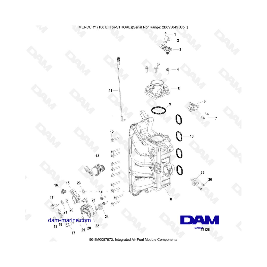 Mercury 100 EFI - Integrated Air Fuel Module Components