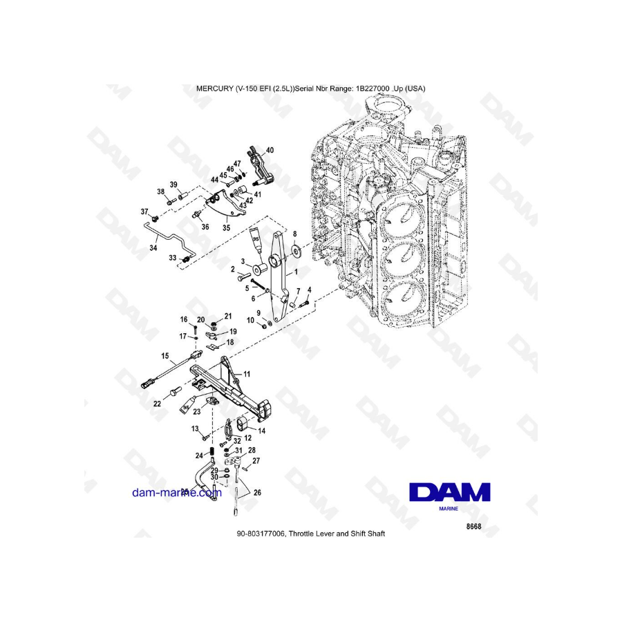 Mercury V-150 EFI (2.5L) - Palanca del acelerador y eje de cambios