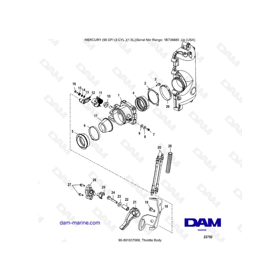 Mercury Optimax 90 - Cuerpo del acelerador