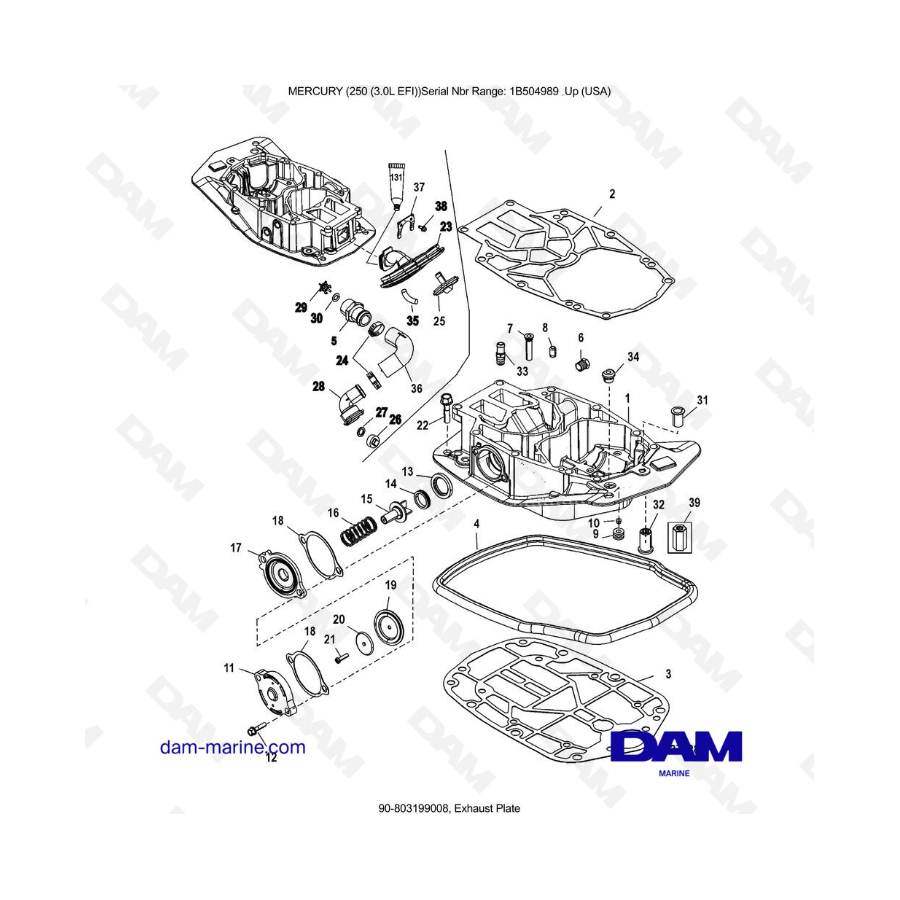 MERCURY 250 EFI 3.0L - Exhaust Plate