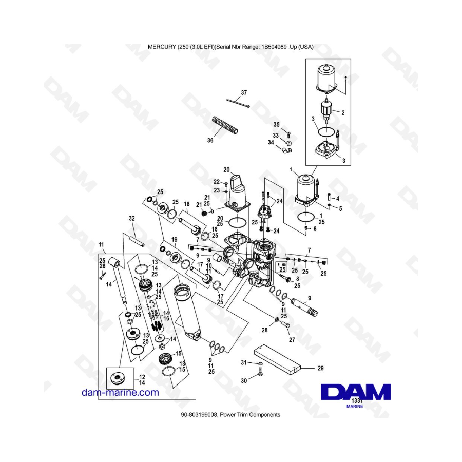 MERCURY 250 EFI 3.0L - Power Trim Components