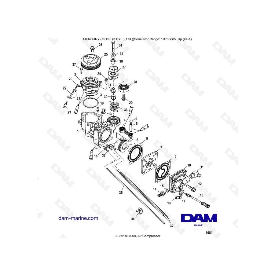 Mercury Optimax 75 - Air compressor