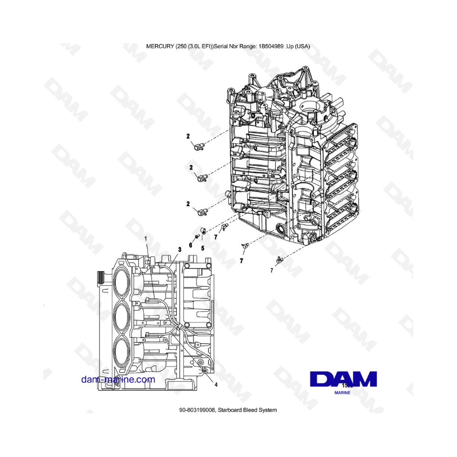 MERCURY 250 EFI 3.0L - Sistema de purga de estribor