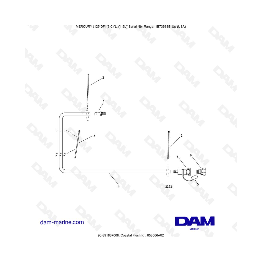 Mercury 125 DFI 1.5L -  Coastal Flush Kit, 858566A02