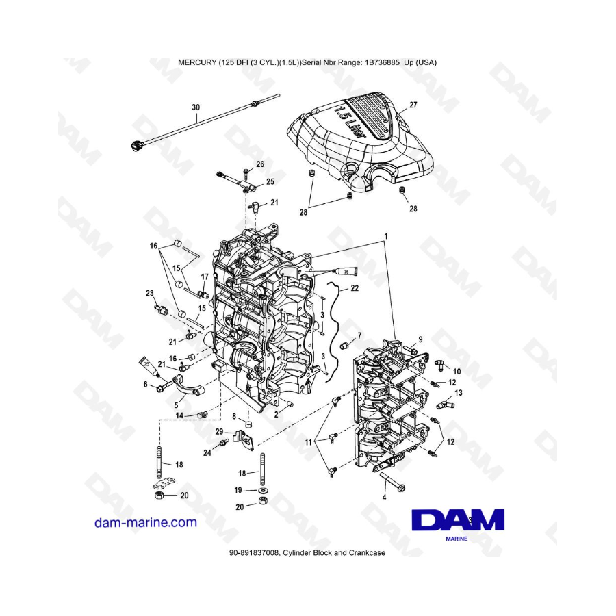 Mercury 125 DFI 1.5L - Cylinder Block and Crankcase