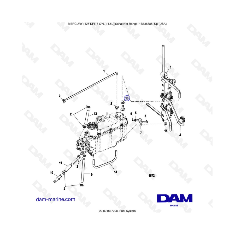 Mercury 125 DFI 1.5L - Fuel System