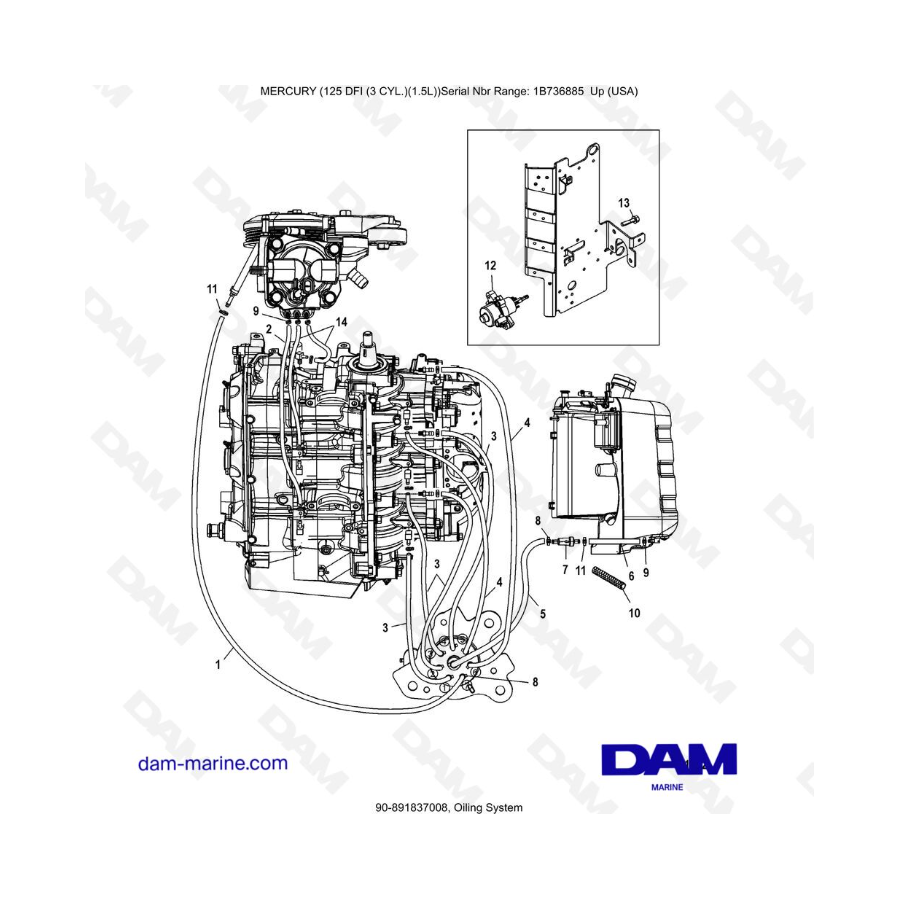 Mercury 125 DFI 1.5L - Sistema de lubricación