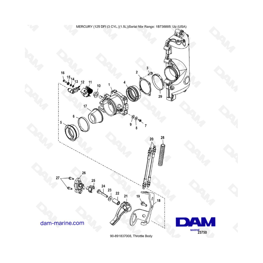 Mercury 125 DFI 1.5L - Throttle Body