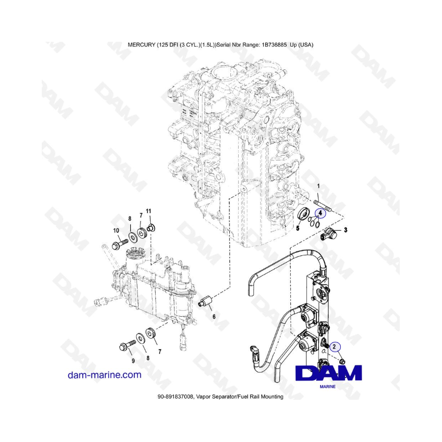 Mercury 125 DFI 1.5L - Separador de vapor/Montaje en riel de combustible