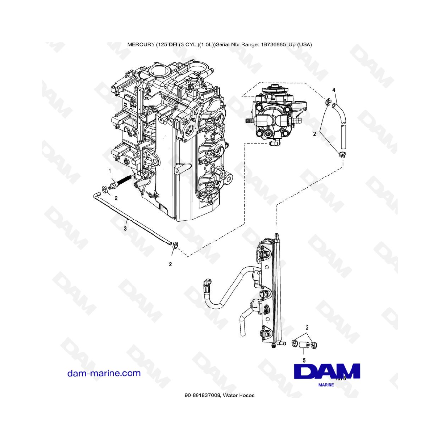 Mercury 125 DFI 1.5L - Mangueras de agua